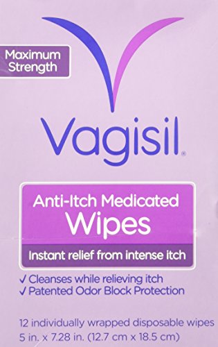 2 Pack Vagisil Anti Itch Medicated Wipes 12 Each 11509060020 Ebay 